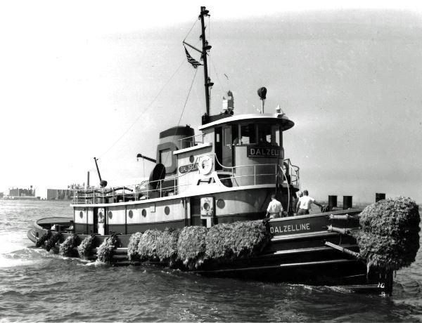 warship dalzelle